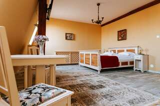 Отель Conacul Nagy Coşeni Номер Делюкс с кроватью размера «queen-size»-3