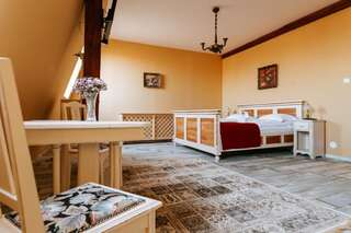 Отель Conacul Nagy Coşeni Номер Делюкс с кроватью размера «queen-size»-8